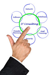 IT Consulting