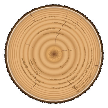 Lumber wood isolated on white background
