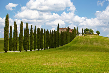 Fototapeta na wymiar Landscape in Tuscany