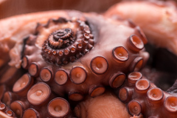 polpo cotto nel coccio