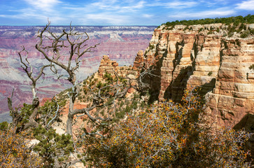Fototapeta na wymiar View of the Grand Canyon from the South Rim