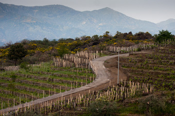 Paesaggio 