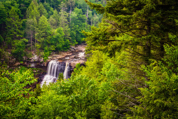 View of Blackwater Falls from the Gentle Trail, at Blackwater Fa