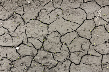 Soil erosion