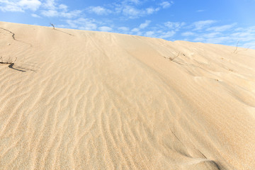 Desert with beautiful sky