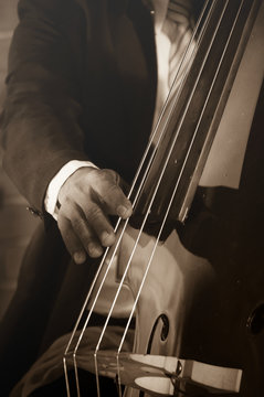 musician playing double bass.