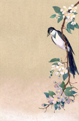 Naklejka premium Watercolor background. Robin on a branch of apple blossoms