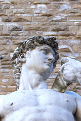 The famous David sculpture in Florence (Italy)