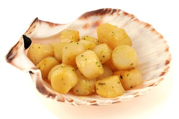 Noix de pétoncles cuites dans une coquille saint-jacques