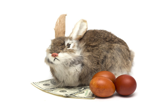 Happy Easter. Easter bunny and money. Photo.