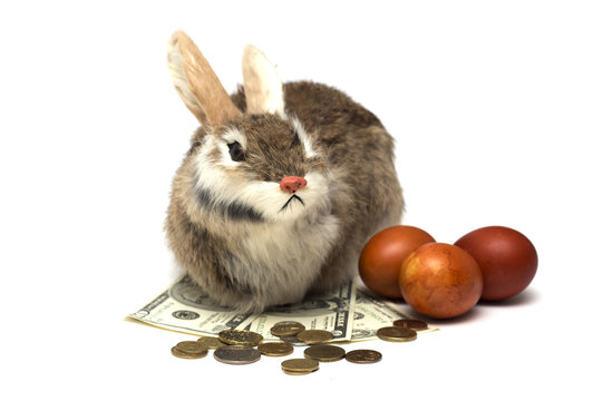 Happy Easter. Easter bunny and money. Photo.
