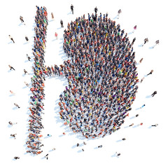 People in the form of a human kidney.