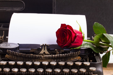 red rose on typewriter