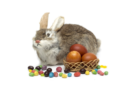 Happy Easter. Rabbit with Easter eggs and candies.