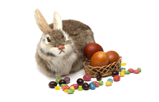 Happy Easter. Rabbit with Easter eggs and candies.