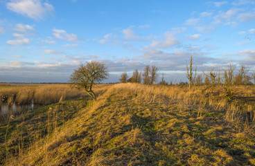 Obraz premium The shore of a lake at sunset in winter