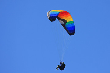 paraglider