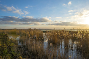 The shore of a lake at sunset in winter