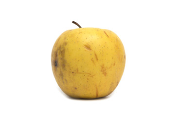 Yellow apple. Dessert. Photo.