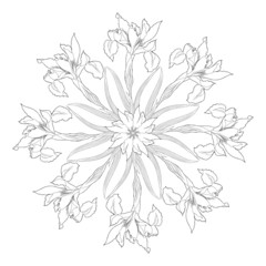 Ornamental round with irises