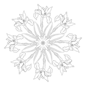 Ornamental round with irises
