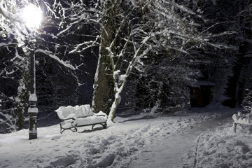 Bench covered with snow, night photo