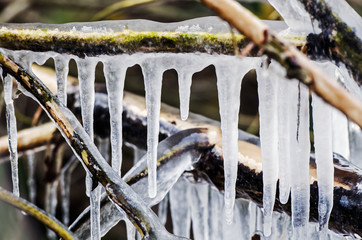 Eiszapfen