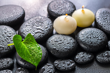 Obraz na płótnie Canvas spa concept of green leaf Calla lily and candles on zen basalt s
