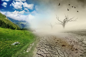 Environmental Disaster