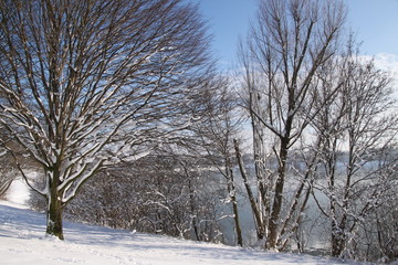 Winterlandschaft am See