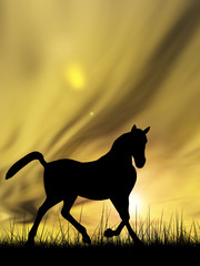 Horse silhouette in grass at sunset