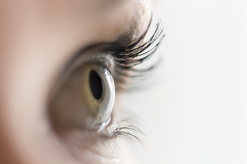 Fototapeta premium Close up of a woman's eye looking aside