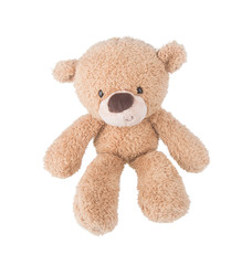 Toy. Teddy Bear. Teddy Bear on the background