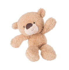 Toy. Teddy Bear. Teddy Bear on the background