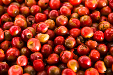 roter Pfeffer Hintergrund