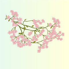 Obraz na płótnie Canvas Spring flowers vector