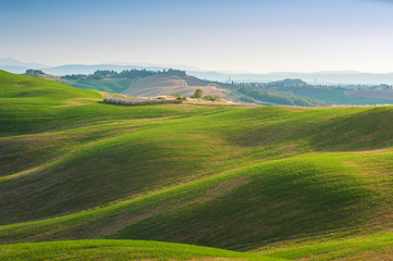 Fototapeta na wymiar Tuscan summer on the fields in the beautiful view