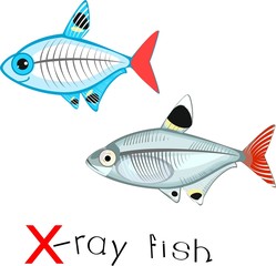 X-ray fish with title