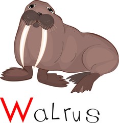 Walrus with title