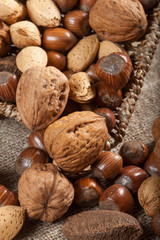 Collection of shelled nuts and nutcracker.