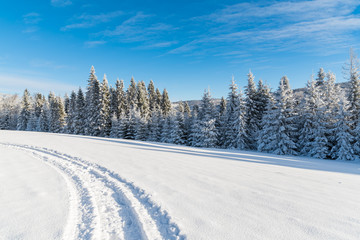 Fototapeta na wymiar Winter road in Beskid Sadecki Mountains on sunny day, Poland
