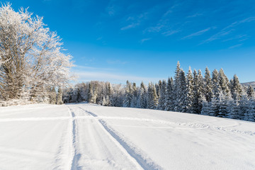 Ski track in winter landscape, Beskid Sadecki Mountains, Poland