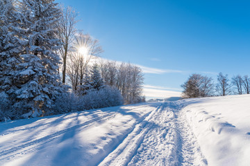 Winter path in Beskid Sadecki Mountains on sunny day, Poland