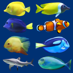 Naklejka premium Set of tropical fish. Vector illustration