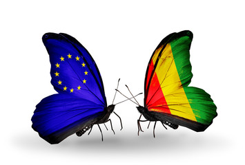 Two butterflies with flags EU and Guinea