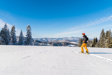 Skier on track in winter landscape, Beskid Mountains, Poland