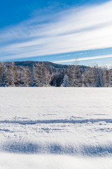 Obraz premium Winter landscape of Beskid Sadecki Mountains, Poland
