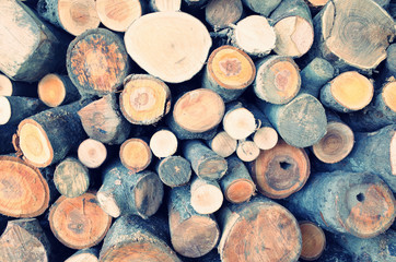 たくさんの丸太