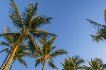 Naklejka na ściany i meble hawaian beach at sunset time