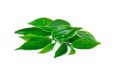 Green tea leaf isolated on white background